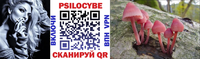 купить наркотик  Волосово  Галлюциногенные грибы прущие грибы 